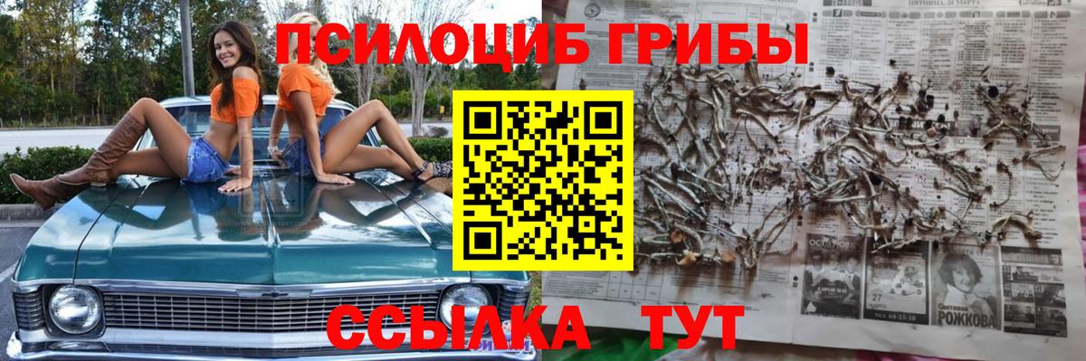 Галлюциногенные грибы Cubensis Астрахань