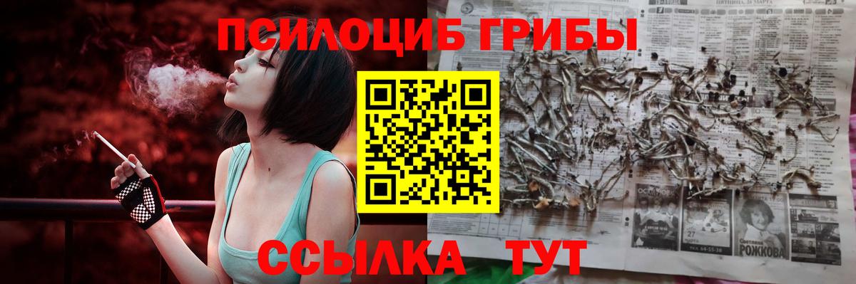 Галлюциногенные грибы Psilocybe Астрахань
